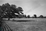 Cricket, West Tanfield